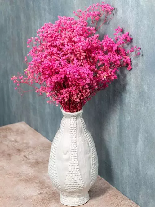 Discover the Allure of Dried Pampas Grass: The Perfect Home Decor Accessory Discover the Allure of Dried Pampas Grass: The Perfect Home Decor Accessory