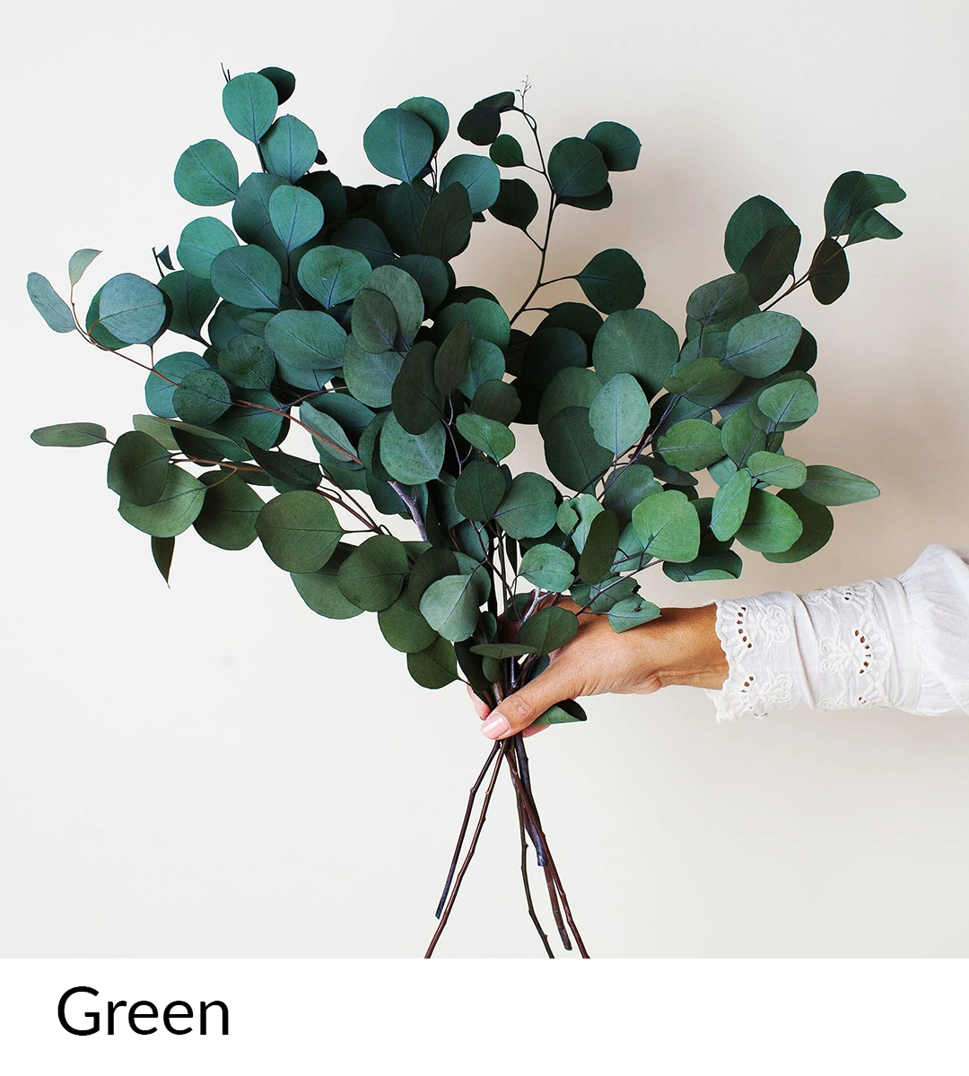  green natural dried flower