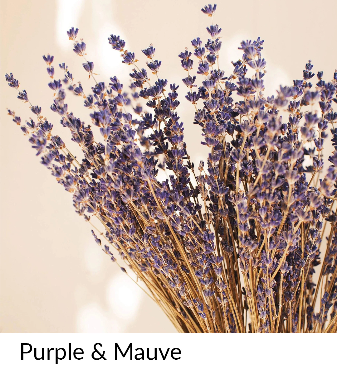 purple preserved dried flowers