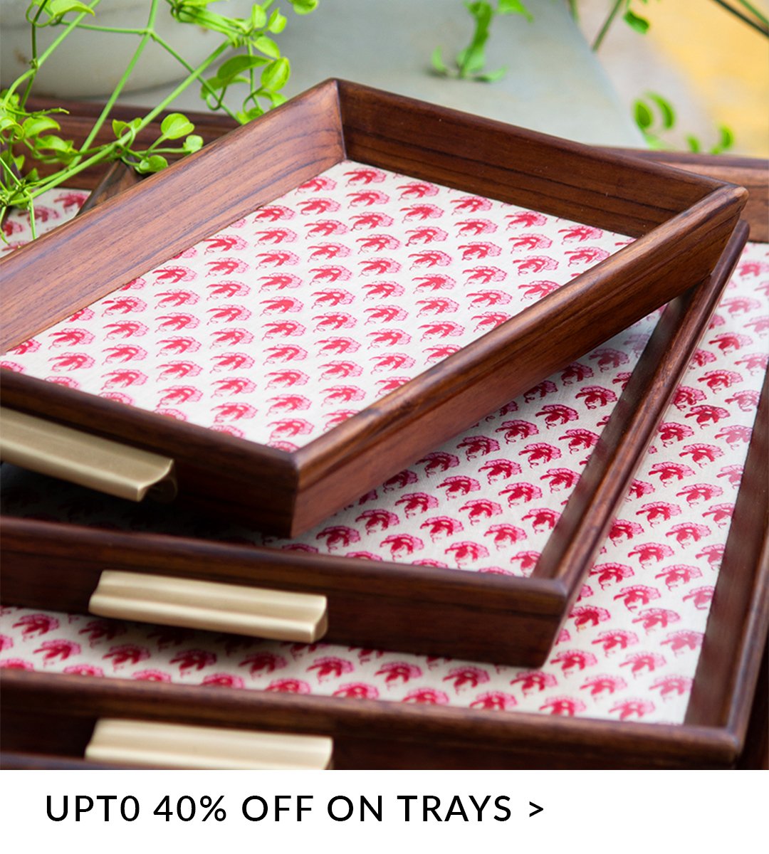 trays