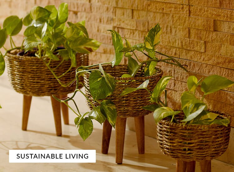 sustainable products