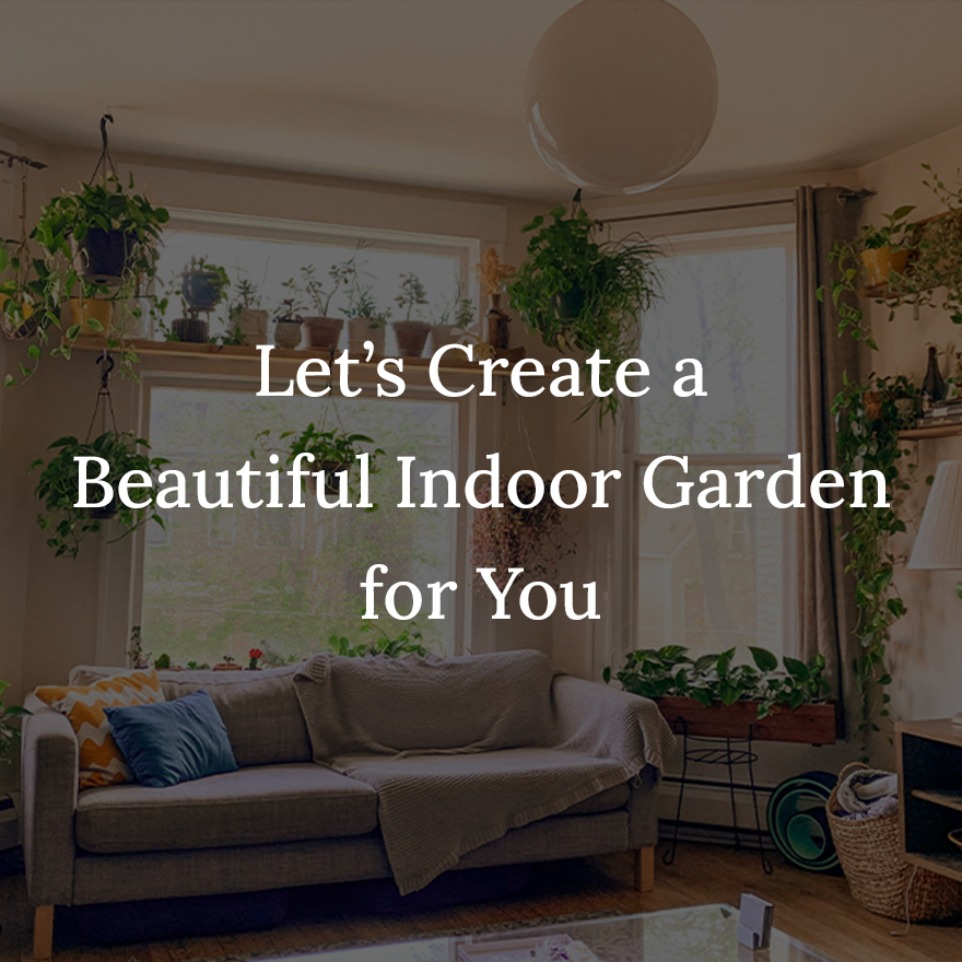 Let_s_Create_a_Beautiful_Indoor_Garden_for_You