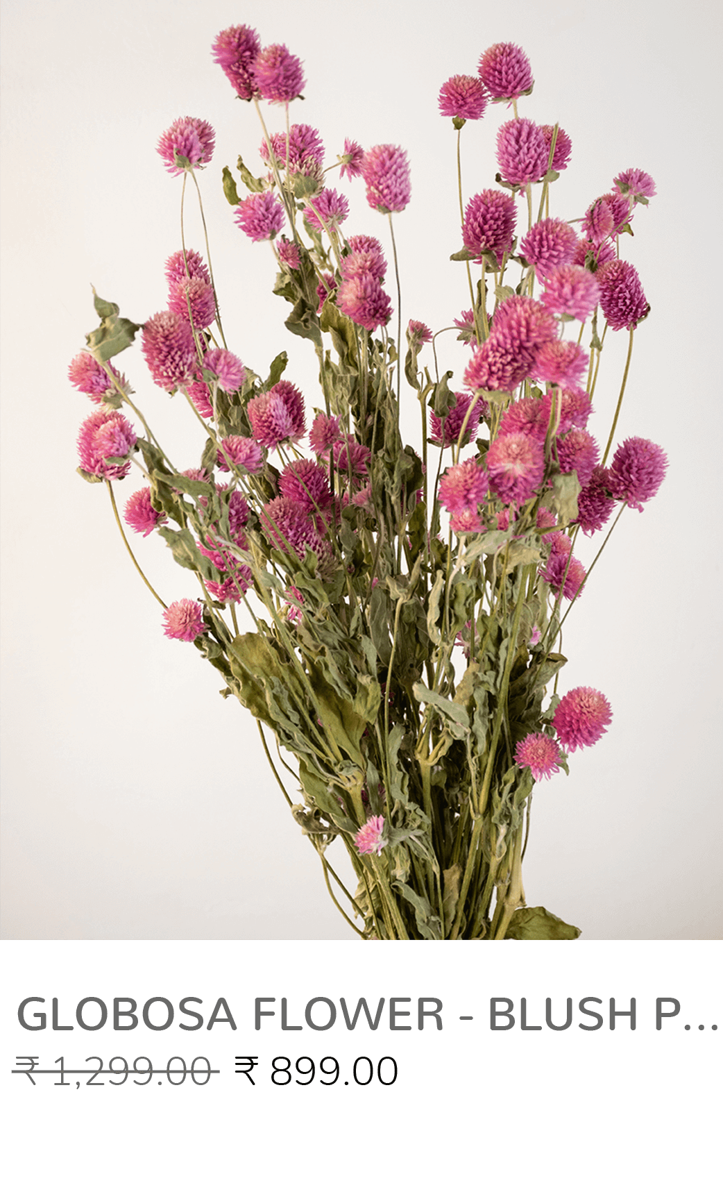 Buy Dried Flowers Online India Whispering Homes
